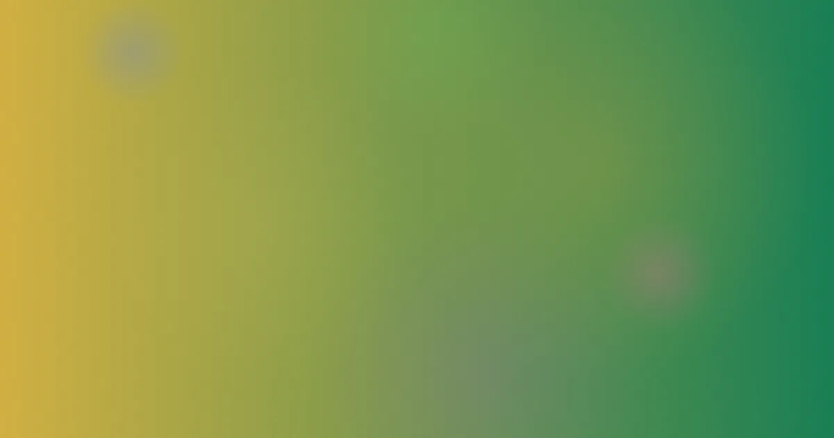 林翩翩推荐：新手入门